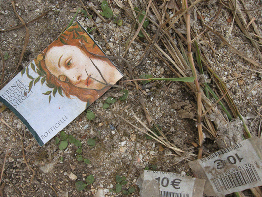 Silvano Bicocchi - Tropea (2007)