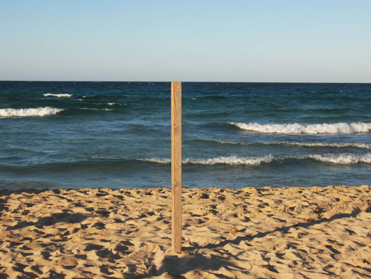 Silvano Bicocchi - Sicilia (2008)